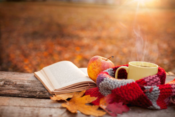 📚 Онлайн-чтение книг на books-lib | Бесплатный доступ к библиотеке | Читайте книги онлайн на books-lib!