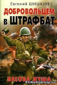 Шишкин Евгений - Бесова душа - Читать книги онлайн | Слушать аудиокниги онлайн | Электронная библиотека books-lib.com
