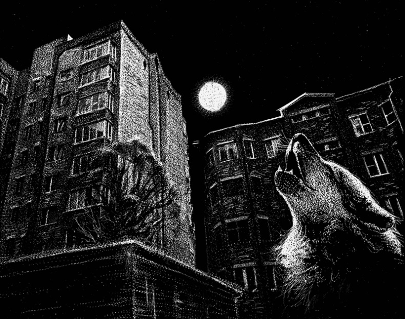 Охотящиеся в ночи Охотящиеся в ночи