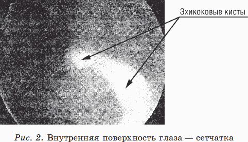 Новые тайны нераспознанных диагнозов. Книга 2 Новые тайны нераспознанных диагнозов. Книга 2
