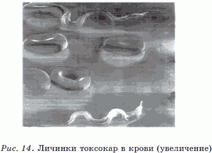 Новые тайны нераспознанных диагнозов. Книга 3 Новые тайны нераспознанных диагнозов. Книга 3