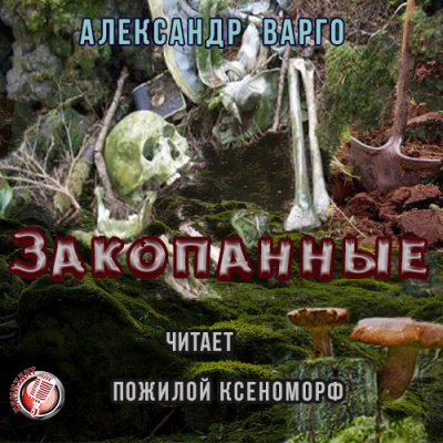 Варго Александр - Закопанные - Читать книги онлайн | Слушать аудиокниги онлайн | Электронная библиотека books-lib.com