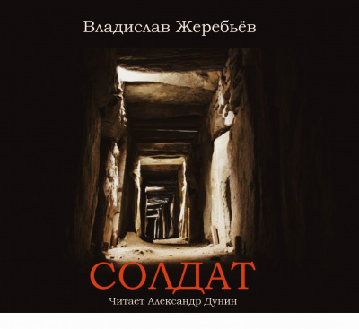 Жеребьёв Владислав - Солдат - Читать книги онлайн | Слушать аудиокниги онлайн | Электронная библиотека books-lib.com