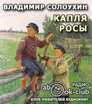 Солоухин Владимир - Капля росы - Читать книги онлайн | Слушать аудиокниги онлайн | Электронная библиотека books-lib.com