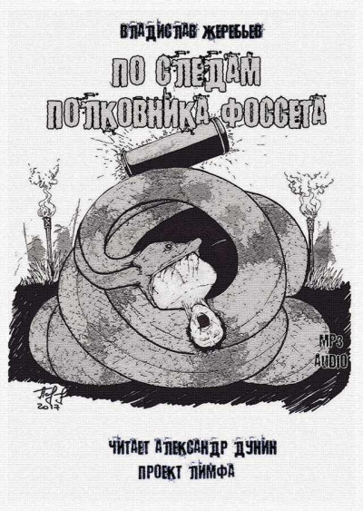 Жеребьёв Владислав - По следам полковника Фоссета - Читать книги онлайн | Слушать аудиокниги онлайн | Электронная библиотека books-lib.com