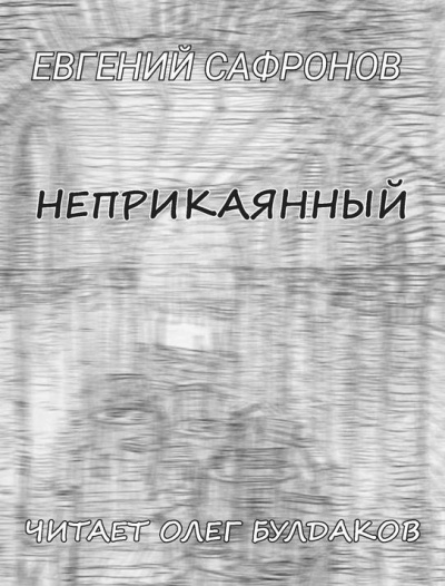 Сафронов Евгений - Неприкаянный - Читать книги онлайн | Слушать аудиокниги онлайн | Электронная библиотека books-lib.com