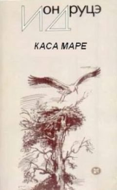 Друцэ Ион - Каса маре - Читать книги онлайн | Слушать аудиокниги онлайн | Электронная библиотека books-lib.com