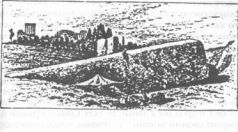 Божество 12-й планеты Божество 12-й планеты