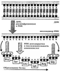 Космический код Космический код