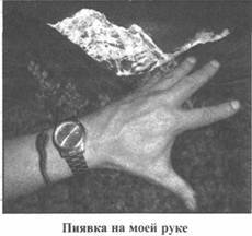 Золотые пластины Харати Золотые пластины Харати