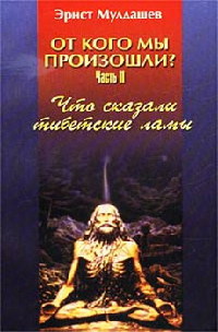 Что сказали тибетские ламы - Эрнст Мулдашев - Читать книги онлайн | Слушать аудиокниги онлайн | Электронная библиотека books-lib.com