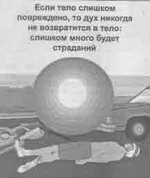 Что сказали тибетские ламы Что сказали тибетские ламы