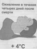 Что сказали тибетские ламы Что сказали тибетские ламы