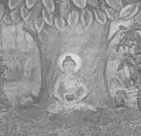 Что сказали тибетские ламы Что сказали тибетские ламы