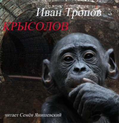 Тропов Иван - Крысолов - Читать книги онлайн | Слушать аудиокниги онлайн | Электронная библиотека books-lib.com
