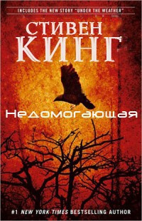Кинг Стивен - Нездоровье - Читать книги онлайн | Слушать аудиокниги онлайн | Электронная библиотека books-lib.com