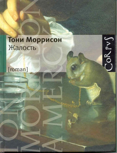 Моррисон Тони - Жалость - Читать книги онлайн | Слушать аудиокниги онлайн | Электронная библиотека books-lib.com