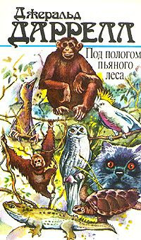 Даррелл Джеральд - Под пологом пьяного леса - Читать книги онлайн | Слушать аудиокниги онлайн | Электронная библиотека books-lib.com