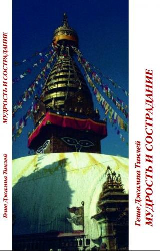 Тинлей Геше Джампа - Мудрость и сострадание - Читать книги онлайн | Слушать аудиокниги онлайн | Электронная библиотека books-lib.com