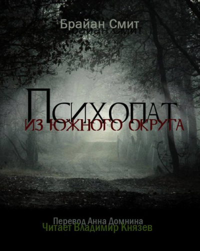 Смит Брайан - Психопат из южного округа - Читать книги онлайн | Слушать аудиокниги онлайн | Электронная библиотека books-lib.com