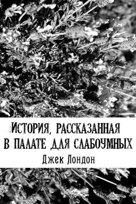 Лондон Джек - История, рассказанная в палате для слабоумных - Читать книги онлайн | Слушать аудиокниги онлайн | Электронная библиотека books-lib.com