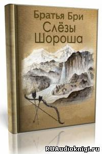 Братья Бри - Слезы Шороша. Книга 1 - Читать книги онлайн | Слушать аудиокниги онлайн | Электронная библиотека books-lib.com