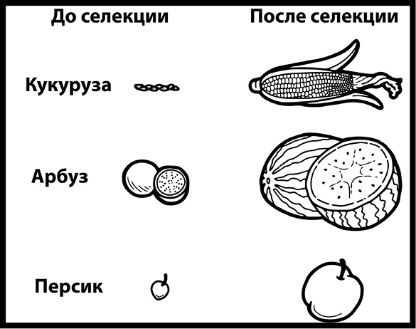 Как изобрести все Как изобрести все