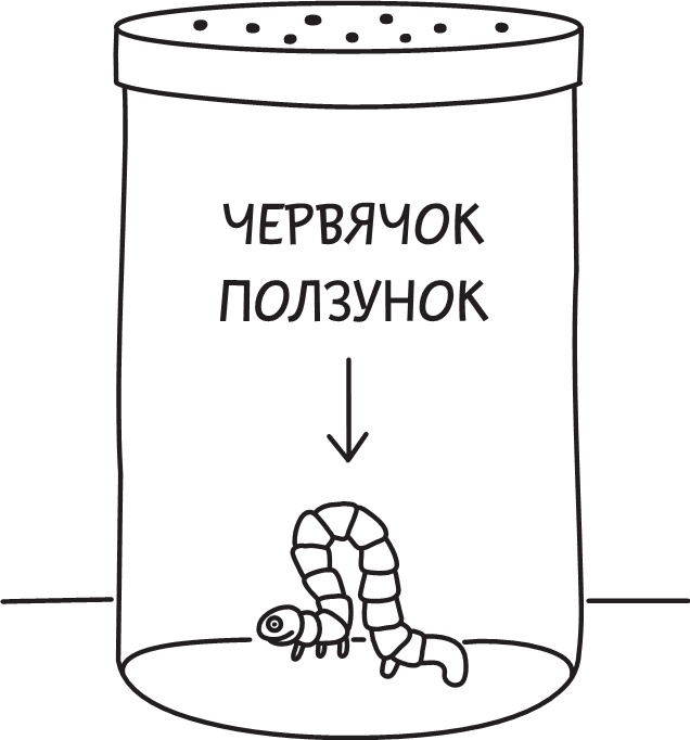 Полоса невезения Полоса невезения