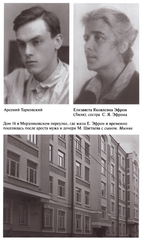 Марина Цветаева. Твоя неласковая ласточка Марина Цветаева. Твоя неласковая ласточка