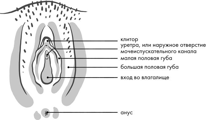 Розовая революция Розовая революция