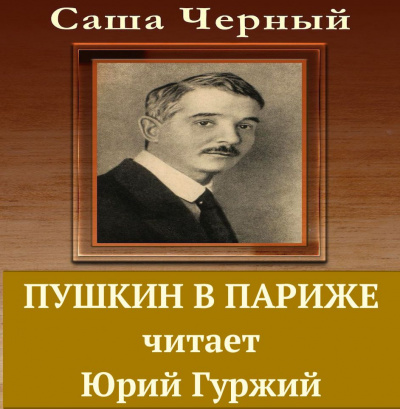 Черный Саша - Пушкин в Париже - Читать книги онлайн | Слушать аудиокниги онлайн | Электронная библиотека books-lib.com