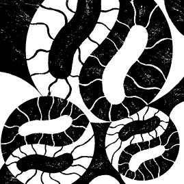 Перспективы отбора