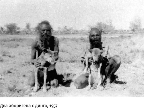 Маленький плохой заяц, или Взаимосвязь религии и окружающей среды Маленький плохой заяц, или Взаимосвязь религии и окружающей среды