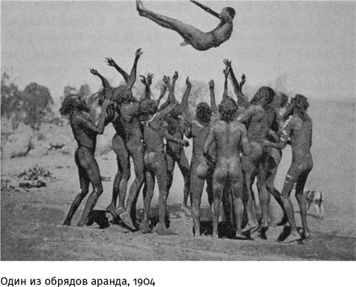 Маленький плохой заяц, или Взаимосвязь религии и окружающей среды Маленький плохой заяц, или Взаимосвязь религии и окружающей среды