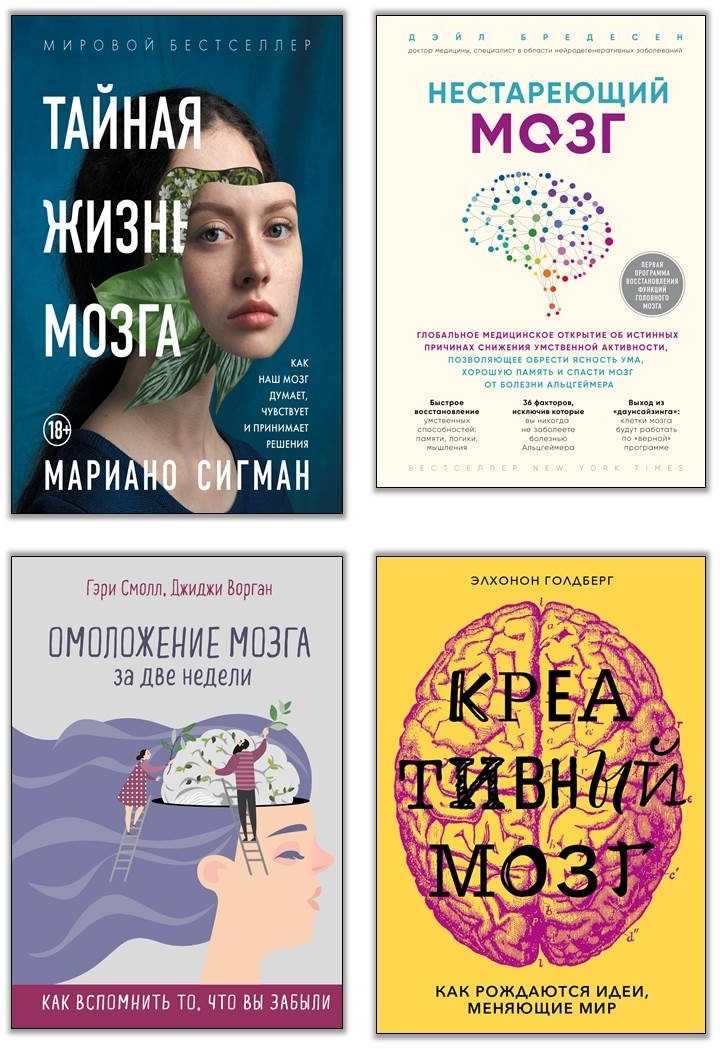 Мозг – повелитель времени Мозг – повелитель времени