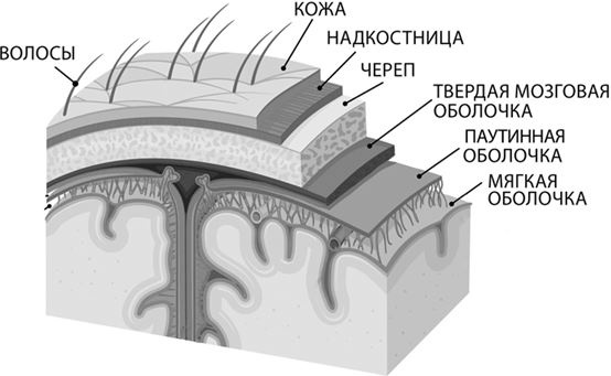 Не дай голове расколоться! Не дай голове расколоться!