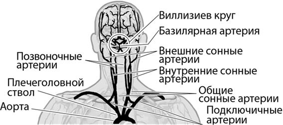 Не дай голове расколоться! Не дай голове расколоться!