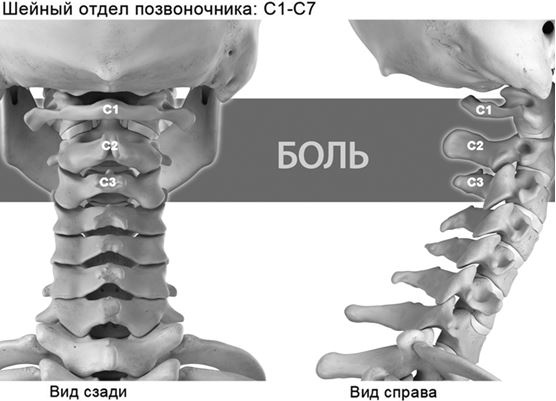 Не дай голове расколоться! Не дай голове расколоться!
