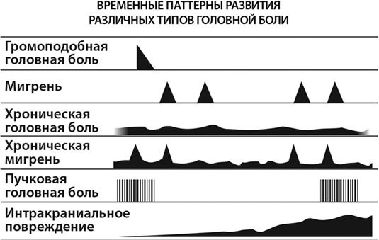 Не дай голове расколоться! Не дай голове расколоться!