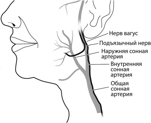 Не дай голове расколоться! Не дай голове расколоться!