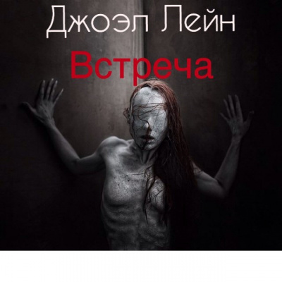 Лэйн Джоэл - Встреча - Читать книги онлайн | Слушать аудиокниги онлайн | Электронная библиотека books-lib.com