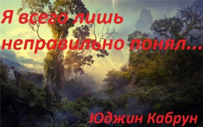 Кабрун Юджин - Я всего лишь неправильно понял... - Читать книги онлайн | Слушать аудиокниги онлайн | Электронная библиотека books-lib.com