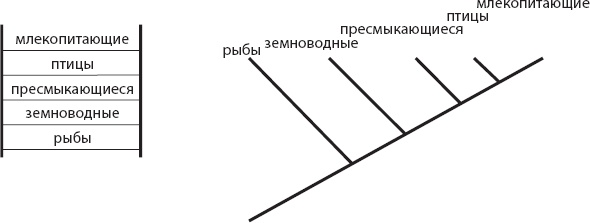 Мозг. Такой ли он особенный? Мозг. Такой ли он особенный?