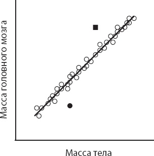 Мозг. Такой ли он особенный? Мозг. Такой ли он особенный?