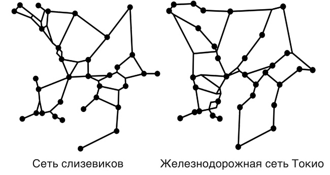 Футболоматика Футболоматика