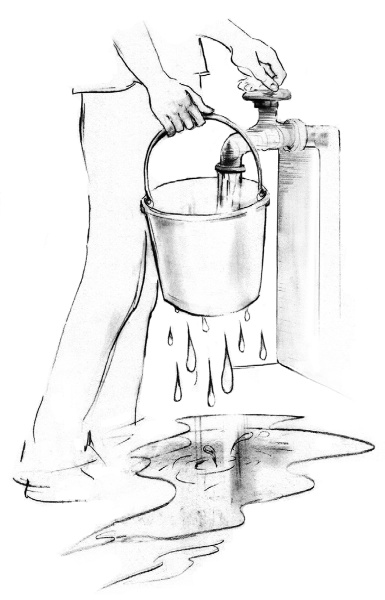 Свет ума Свет ума