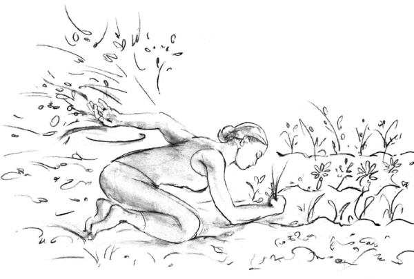 Свет ума Свет ума