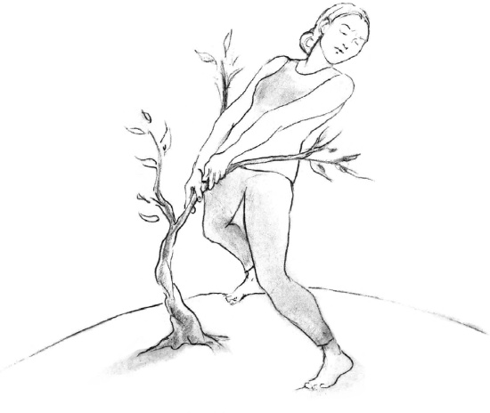 Свет ума Свет ума