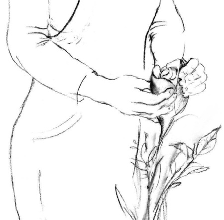 Свет ума Свет ума