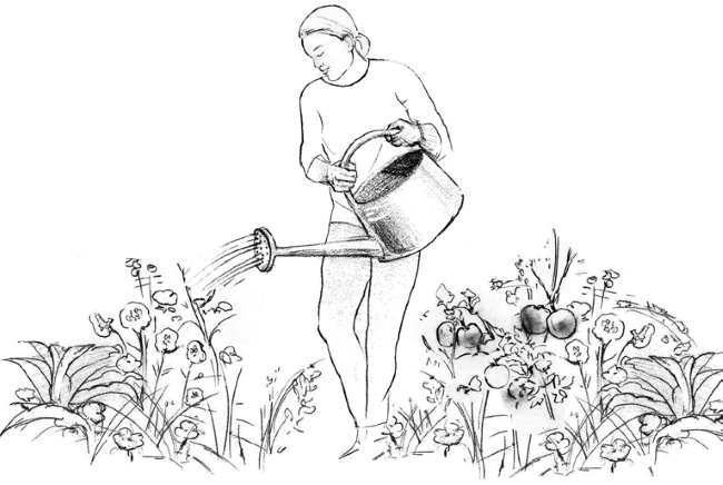 Свет ума Свет ума